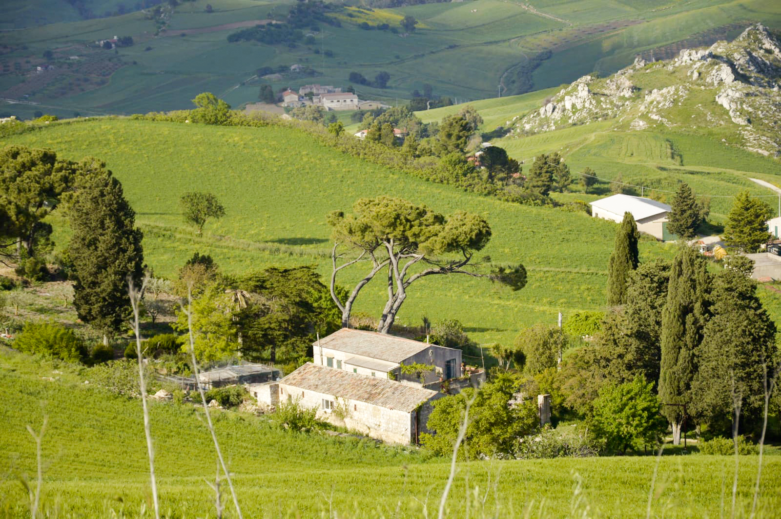 Panorama delle campagne di contrada Girafi